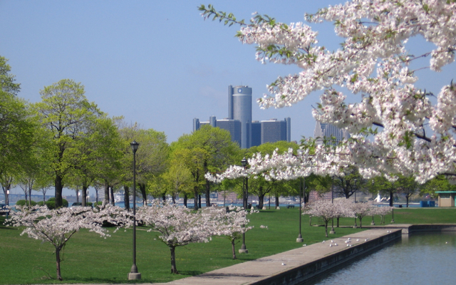 Detroit_Hanami